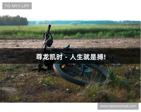 尊龙凯时人生就是拼搏：提升个人能力，成为游戏行业中的佼佼者的实用策略