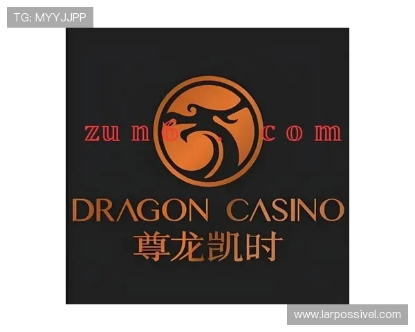 尊龙凯时百家乐官网安全可靠的支付系统，保障每一笔交易的快速与安全